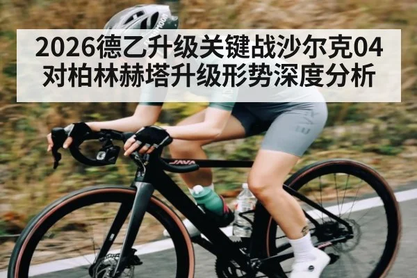 2026德乙升级关键战沙尔克04对柏林赫塔升级形势深度分析